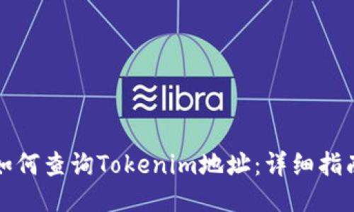 如何查询Tokenim地址：详细指南