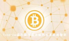 Tokenim国际版与国内版的主