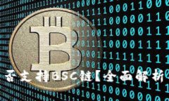 Tokenim是否支持BSC链？全面