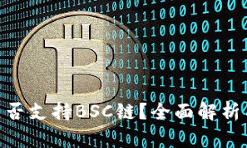 Tokenim是否支持BSC链？全面解析与使用指南