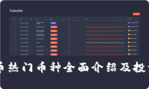 虚拟币热门币种全面介绍及投资指南