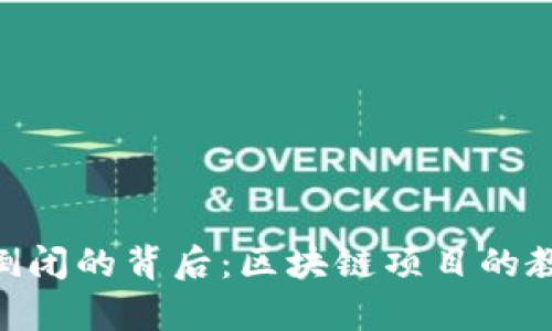 Tokenim倒闭的背后：区块链项目的教训与启示