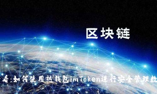 新手必看：如何使用热钱包imToken进行安全管理数字资产