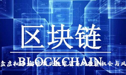 魔盒虚拟币：解密新兴数字货币的投资机会与风险