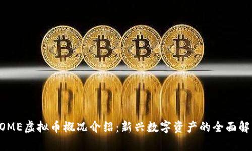 DOME虚拟币概况介绍：新兴数字资产的全面解析