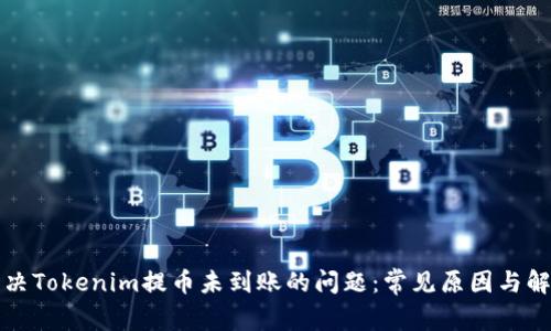 如何解决Tokenim提币未到账的问题：常见原因与解决方案