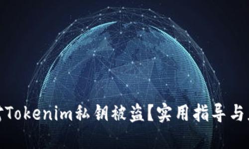 如何应对Tokenim私钥被盗？实用指导与应对策略