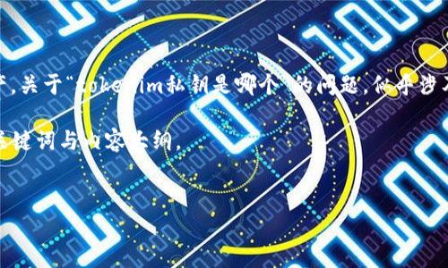 对于代币（token）或加密货币，私钥是一个非常重要的安全元素，通常被用于访问和管理区块链上的资产。关于“tokenim私钥是哪个”的问题，似乎涉及到一个特定的代币或钱包工具，但在任何情况下，私钥是一个非常敏感的信息，不应该直接共享或公开。

为了更好地帮助你了解私钥的相关内容，我可以为你提供一个大纲及其内容，并回答相关问题。以下是、关键词与内容大纲。

### 
如何安全管理和保护你的加密货币私钥