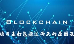 Tokenim项目未打包超过两天
