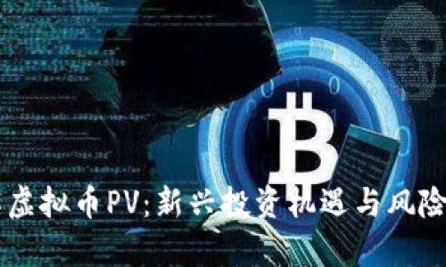 了解虚拟币PV：新兴投资机遇与风险分析