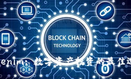 Tokenim: 数字资产投资的最佳选择