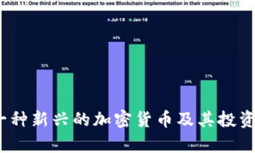 狗狗币：一种新兴的加密货币及其投资潜力分析