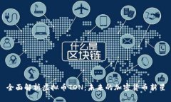 全面解析虚拟币TON：未来