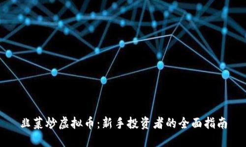 韭菜炒虚拟币：新手投资者的全面指南