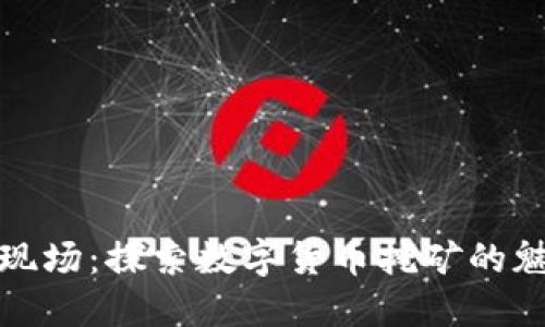 挖虚拟币现场：探索数字货币挖矿的魅力与未来