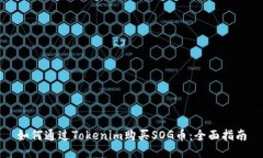 如何通过Tokenim购买SOG币：