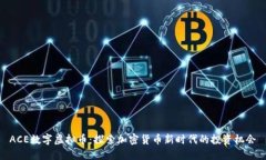ACE数字虚拟币：探索加密