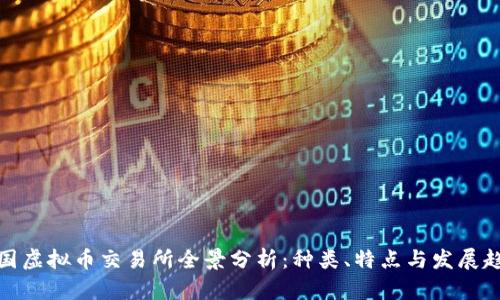 全国虚拟币交易所全景分析：种类、特点与发展趋势