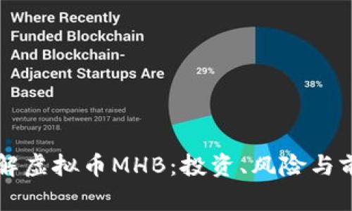 深入了解虚拟币MHB：投资、风险与前景分析