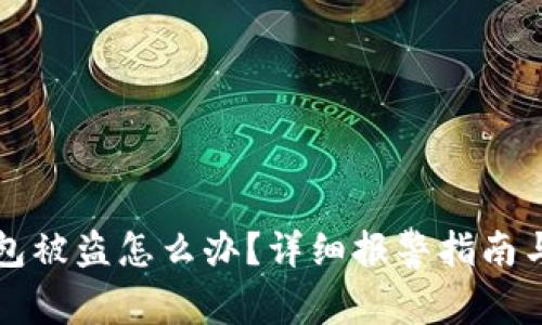 虚拟币钱包被盗怎么办？详细报警指南与防护策略