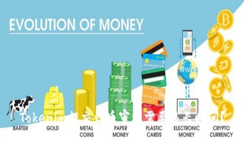 Tokenim提交代币审核需要多长时间？