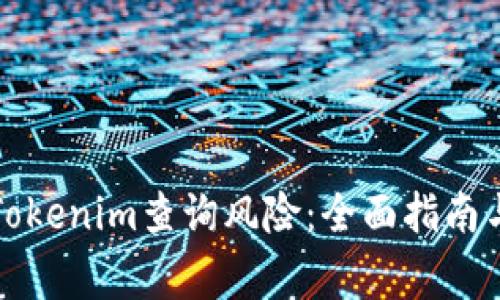 如何使用Tokenim查询风险：全面指南与注意事项