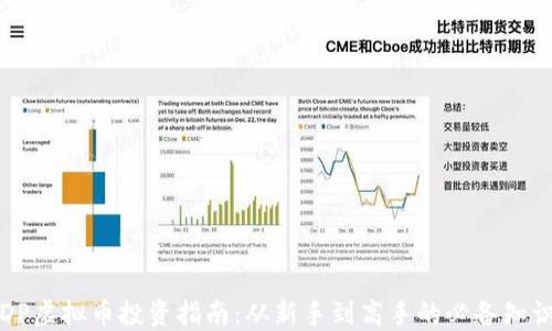 
DP虚拟币投资指南：从新手到高手的必备知识