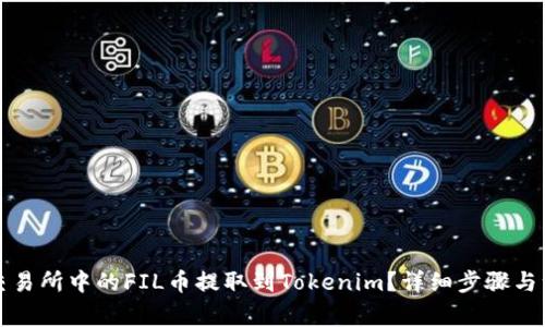 如何将交易所中的FIL币提取到Tokenim？详细步骤与注意事项