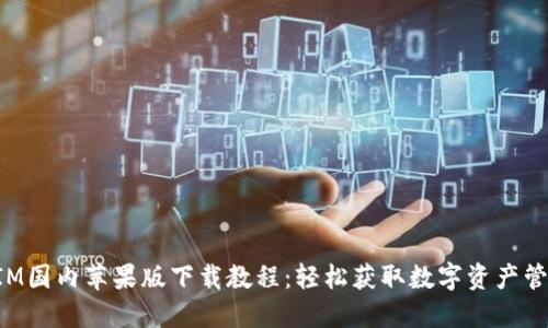TokenIM国内苹果版下载教程：轻松获取数字资产管理工具
