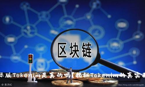 国际版Tokenim是真的吗？揭秘Tokenim的真实面貌