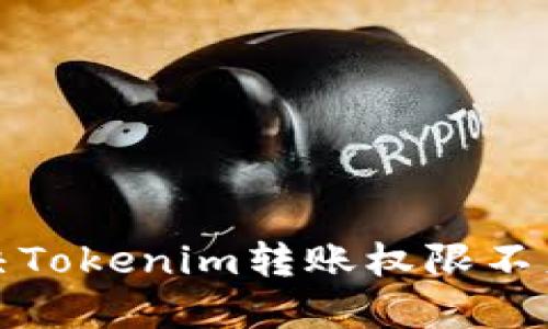 如何解决Tokenim转账权限不足的问题
