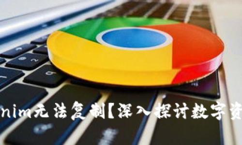 为什么Tokenim无法复制？深入探讨数字资产的唯一性