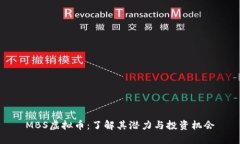 MBS虚拟币：了解其潜力与