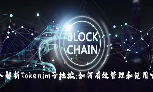 深入解析Tokenim子地址：如何有效管理和使用它们