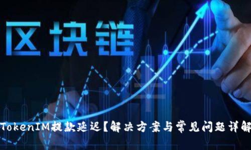 TokenIM提款延迟？解决方案与常见问题详解