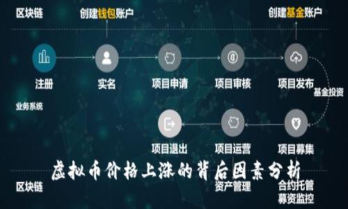 虚拟币价格上涨的背后因素分析