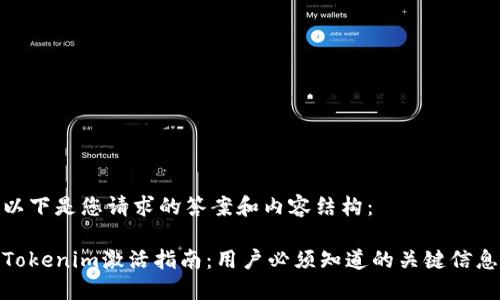 以下是您请求的答案和内容结构：

Tokenim激活指南：用户必须知道的关键信息