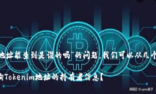 关于“tokenim地址能查到是谁的吗”的问题，我们可以从几个方面进行解答：

### 如何查询Tokenim地址的持有者信息？