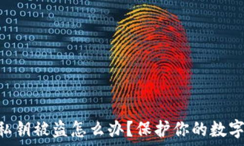   
tokenim私钥被盗怎么办？保护你的数字资产安全