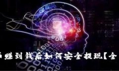虚拟币赚到钱后如何安全