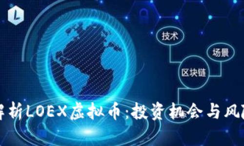 全面解析LOEX虚拟币：投资机会与风险分析