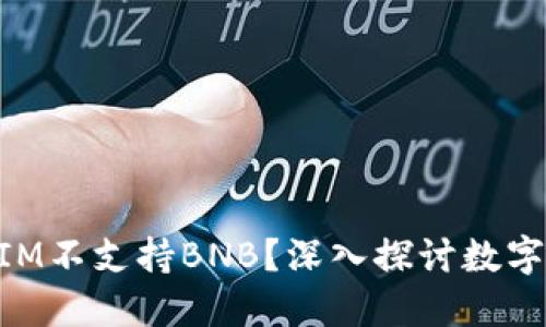 为什么TokenIM不支持BNB？深入探讨数字货币支持问题