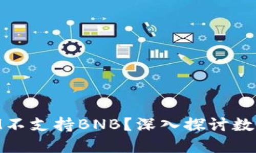 为什么TokenIM不支持BNB？深入探讨数字货币支持问题
