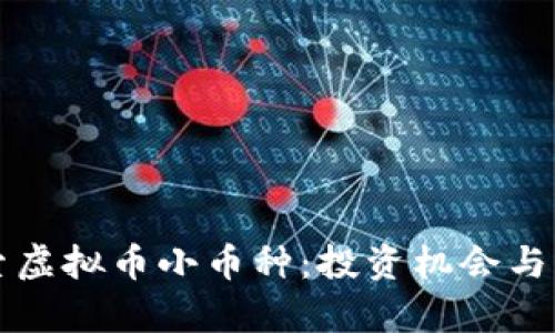 深入探索虚拟币小币种：投资机会与风险分析
