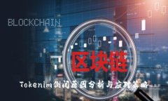 Tokenim倒闭原因分析与应对