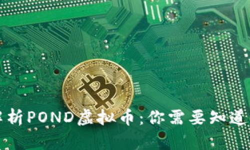 深入解析POND虚拟币：你需要知道的一切