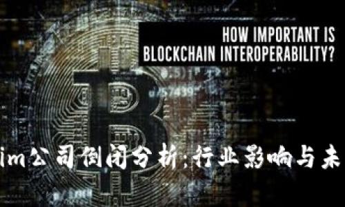 Tokenim公司倒闭分析：行业影响与未来展望