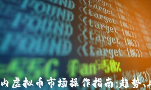 
2023年国内虚拟币市场操作指南：趋势、风险与建议