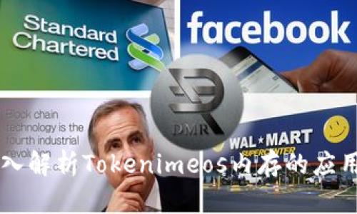 深入解析Tokenimeos内存的应用与
