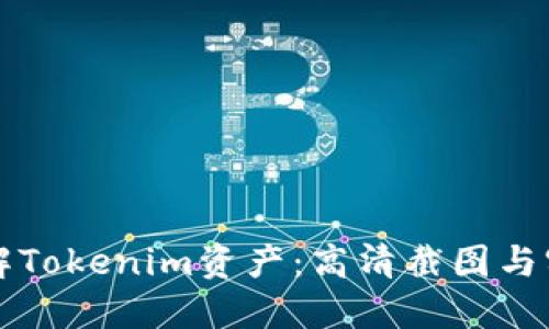 深入了解Tokenim资产：高清截图与实用指南